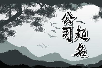 高端有内涵的公司名字，高端有内涵的公司名字2个字大全